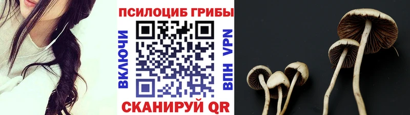 Галлюциногенные грибы Psilocybine cubensis  сколько стоит  Чебаркуль 